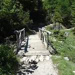 Dolomiti Hotel Falcade