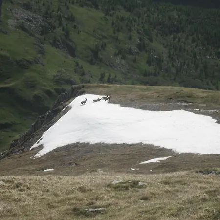 Dolomiti 2* Falcade