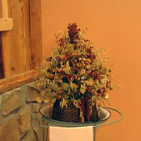 Hotel Dolomiti Falcade