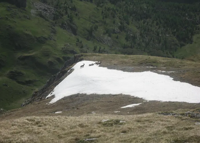 Dolomiti 2* פלקאדה