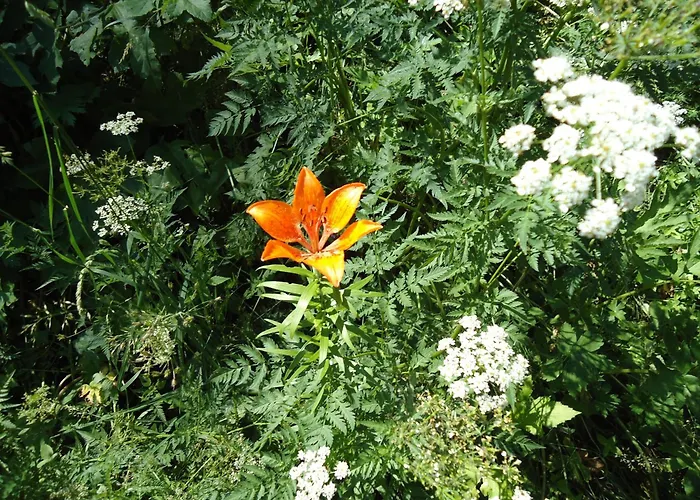 Dolomiti 2* Фалькаде