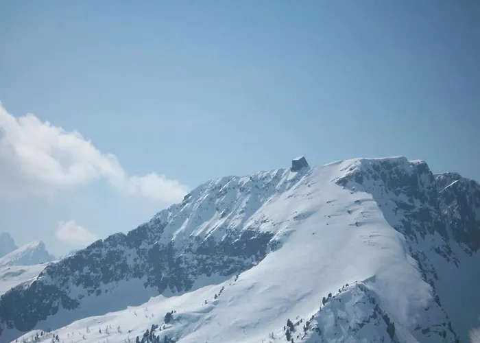 Отель Dolomiti 2*